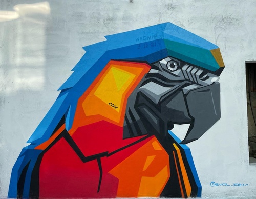 Gallery Of Street Art By Denys Evol - Brazil