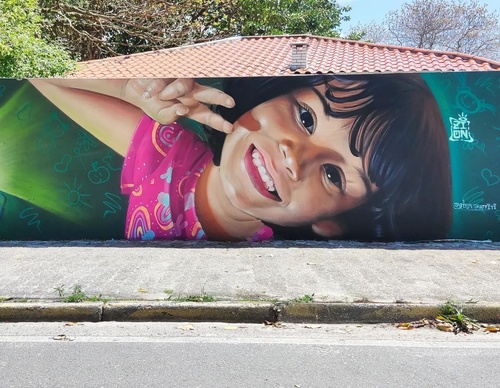 Gallery Of Street Art By Zion - Brazil