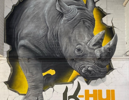 Gallery Of Street Art By Snek - Brazil
