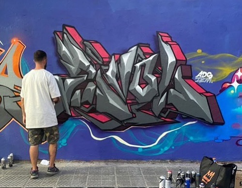 Gallery Of Street Art By Denys Evol - Brazil