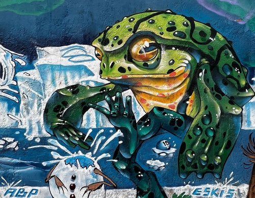 Gallery Of Street Art By Bigod O Sapo - Brazil