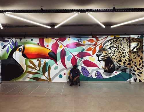 Gallery Of Street Art By Zion - Brazil