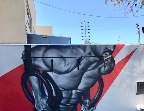Gallery Of Street Art By Snek - Brazil