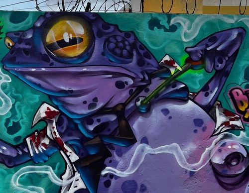 Gallery Of Street Art By Bigod O Sapo - Brazil