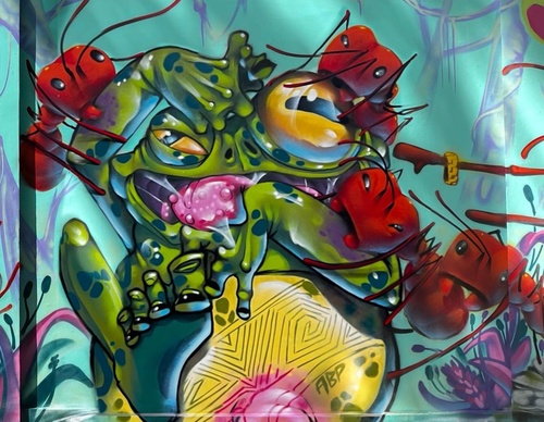 Gallery Of Street Art By Bigod O Sapo - Brazil