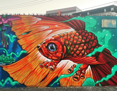 Gallery Of Street Art By Bigod O Sapo - Brazil