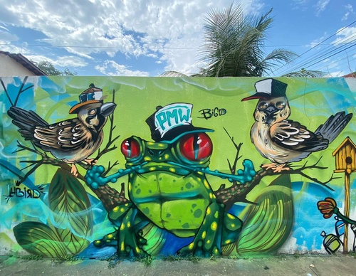 Gallery Of Street Art By Bigod O Sapo - Brazil