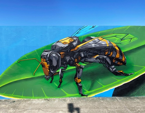 Gallery Of Street Art By Denys Evol - Brazil