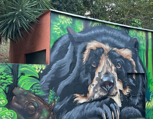 Gallery Of Street Art By Bigod O Sapo - Brazil