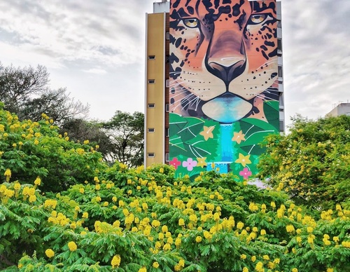 Gallery Of Street Art By Zion - Brazil