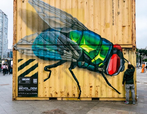 Gallery Of Street Art By Denys Evol - Brazil