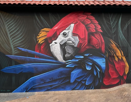 Gallery Of Street Art By Denys Evol - Brazil