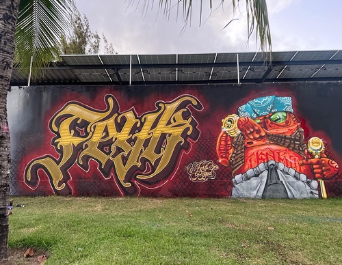 Gallery Of Street Art By Bigod O Sapo - Brazil