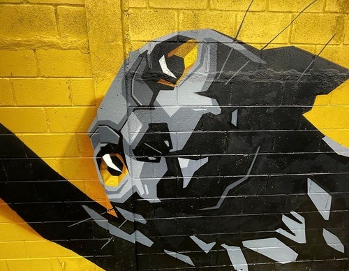 Gallery Of Street Art By Denys Evol - Brazil