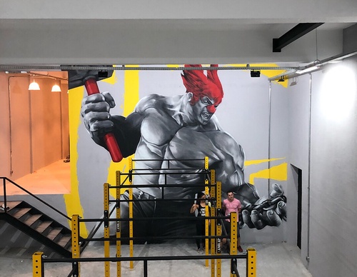 Gallery Of Street Art By Snek - Brazil