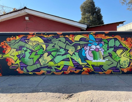 Gallery Of Street Art By Denys Evol - Brazil
