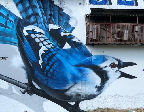 Gallery Of Street Art By Snek - Brazil