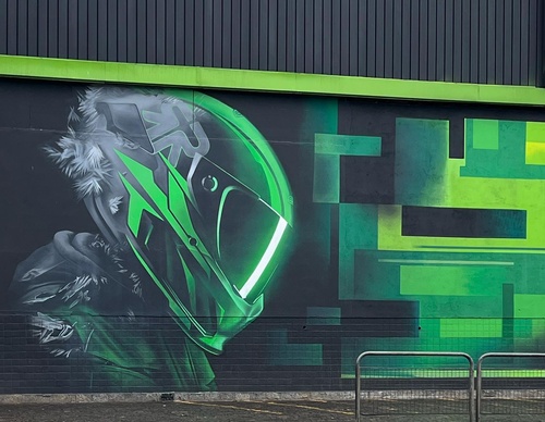 Gallery Of Street Art By Snek - Brazil