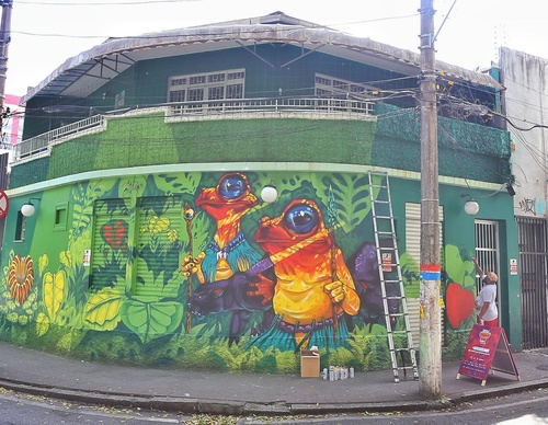 Gallery Of Street Art By Bigod O Sapo - Brazil