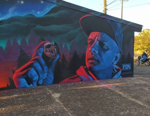 Gallery Of Street Art By Zion - Brazil