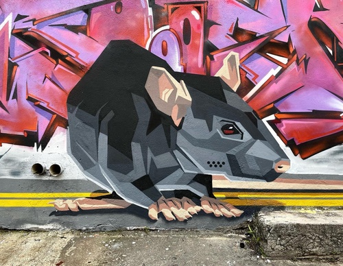 Gallery Of Street Art By Denys Evol - Brazil