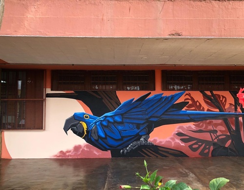 Gallery Of Street Art By Denys Evol - Brazil