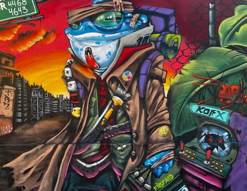 Gallery Of Street Art By Bigod O Sapo - Brazil