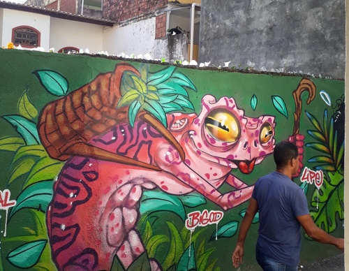 Gallery Of Street Art By Bigod O Sapo - Brazil