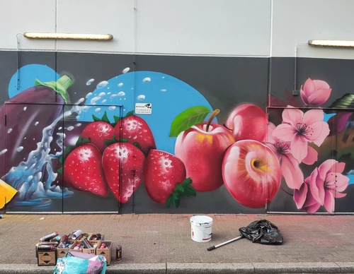 Gallery Of Street Art By Zion - Brazil