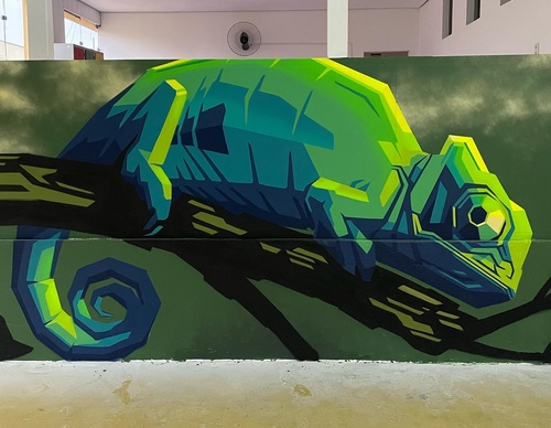 Gallery Of Street Art By Denys Evol - Brazil