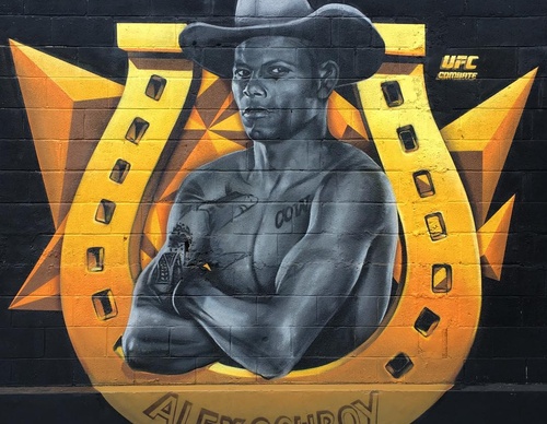 Gallery Of Street Art By Snek - Brazil