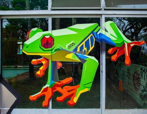 Gallery Of Street Art By Denys Evol - Brazil