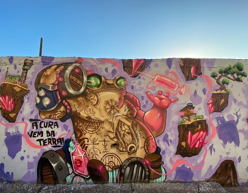 Gallery Of Street Art By Bigod O Sapo - Brazil
