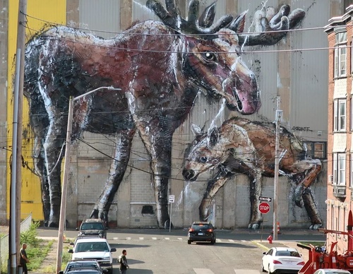 Gallery Of Street Art By Bordalo - Portugal