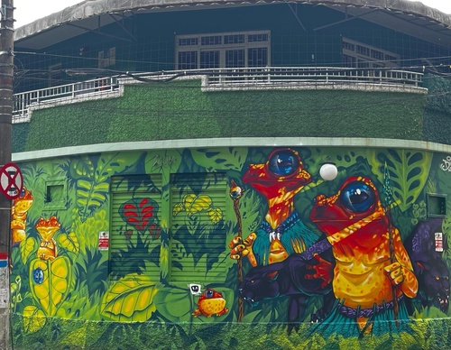 Gallery Of Street Art By Bigod O Sapo - Brazil