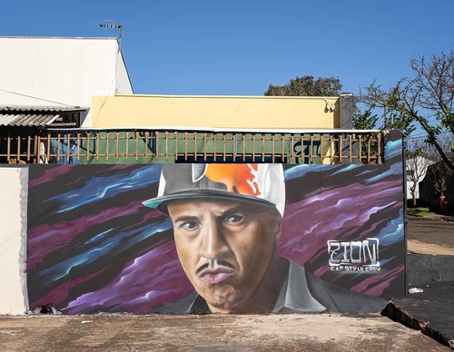 Gallery Of Street Art By Zion - Brazil