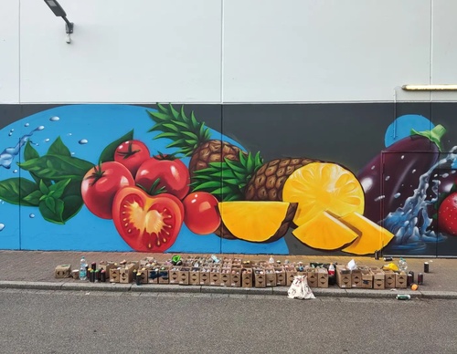 Gallery Of Street Art By Zion - Brazil