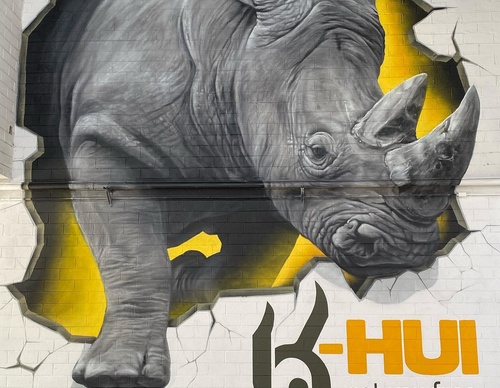 Gallery Of Street Art By Snek - Brazil