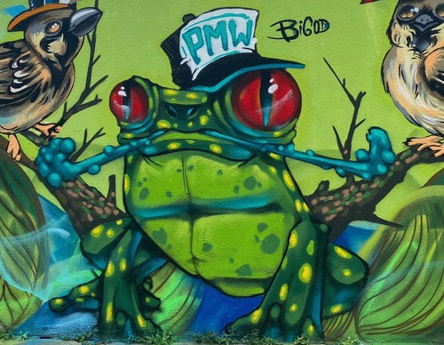Gallery Of Street Art By Bigod O Sapo - Brazil