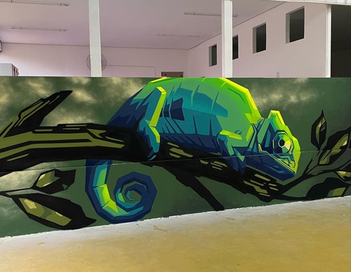Gallery Of Street Art By Denys Evol - Brazil