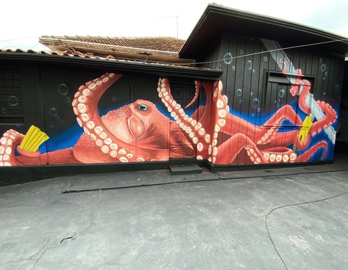 Gallery Of Street Art By Zion - Brazil