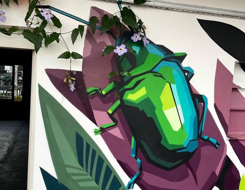 Gallery Of Street Art By Denys Evol - Brazil