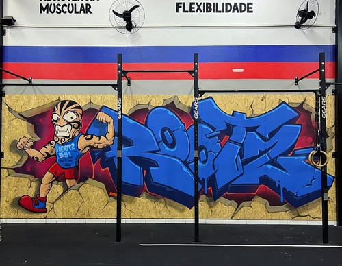 Gallery Of Street Art By Snek - Brazil