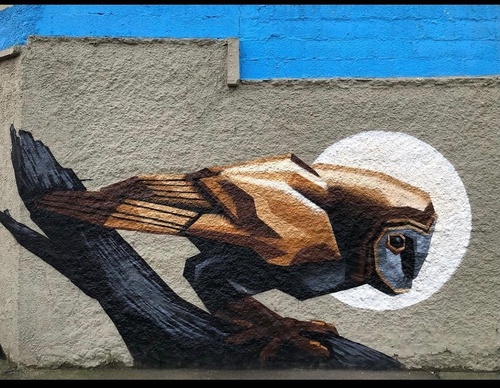Gallery Of Street Art By Denys Evol - Brazil