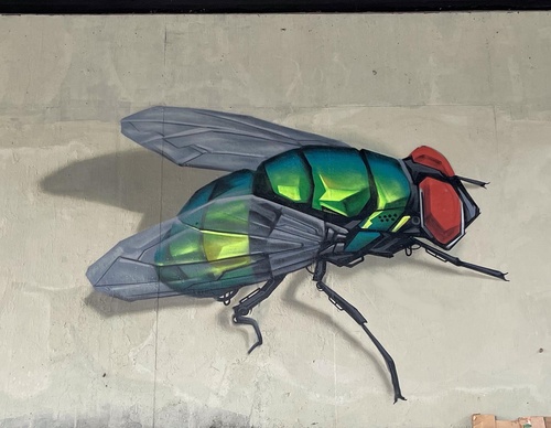 Gallery Of Street Art By Denys Evol - Brazil