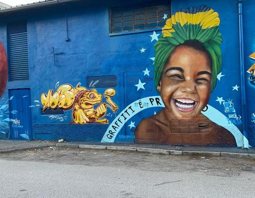Gallery Of Street Art By Zion - Brazil