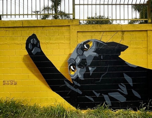 Gallery Of Street Art By Denys Evol - Brazil