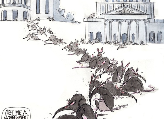 Ann Telnaes