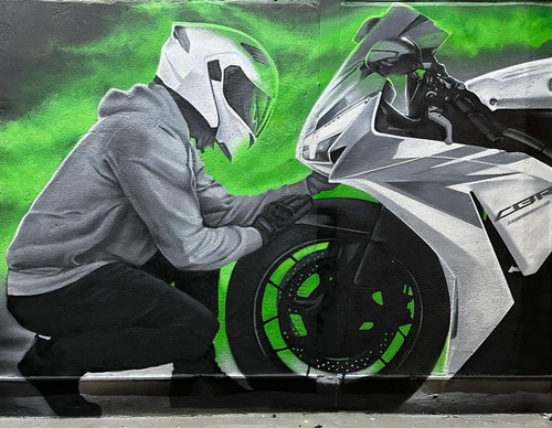 Gallery Of Street Art By Snek - Brazil