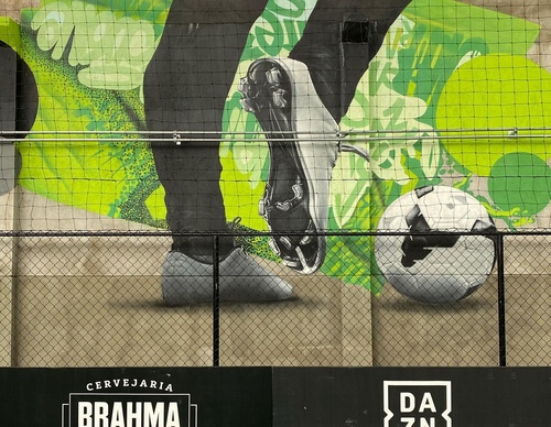 Gallery Of Street Art By Snek - Brazil